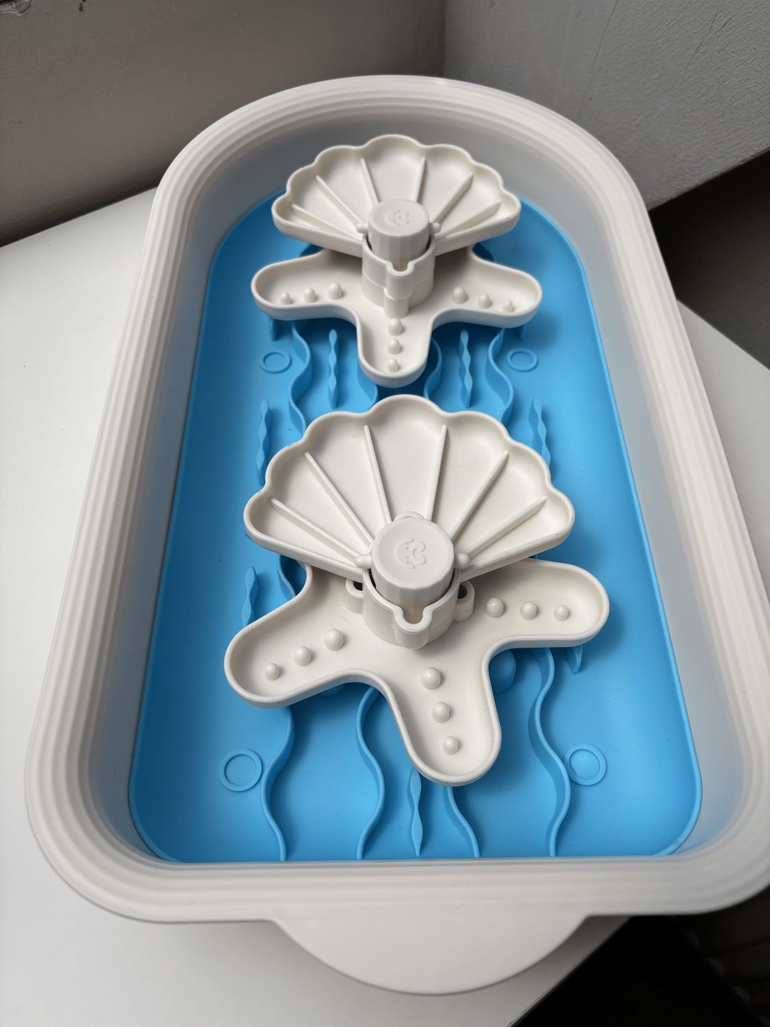 Gamelle ludique modulable coquillage