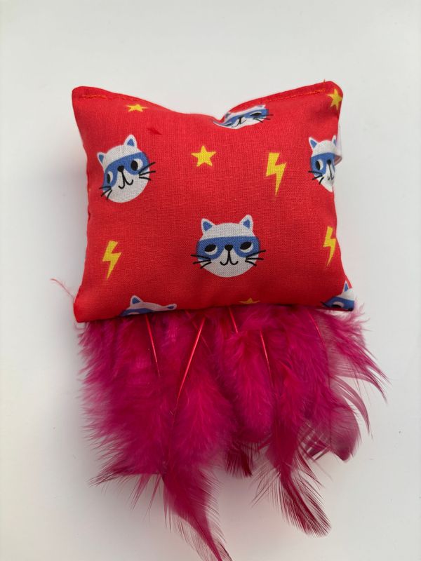 Coussin super cat