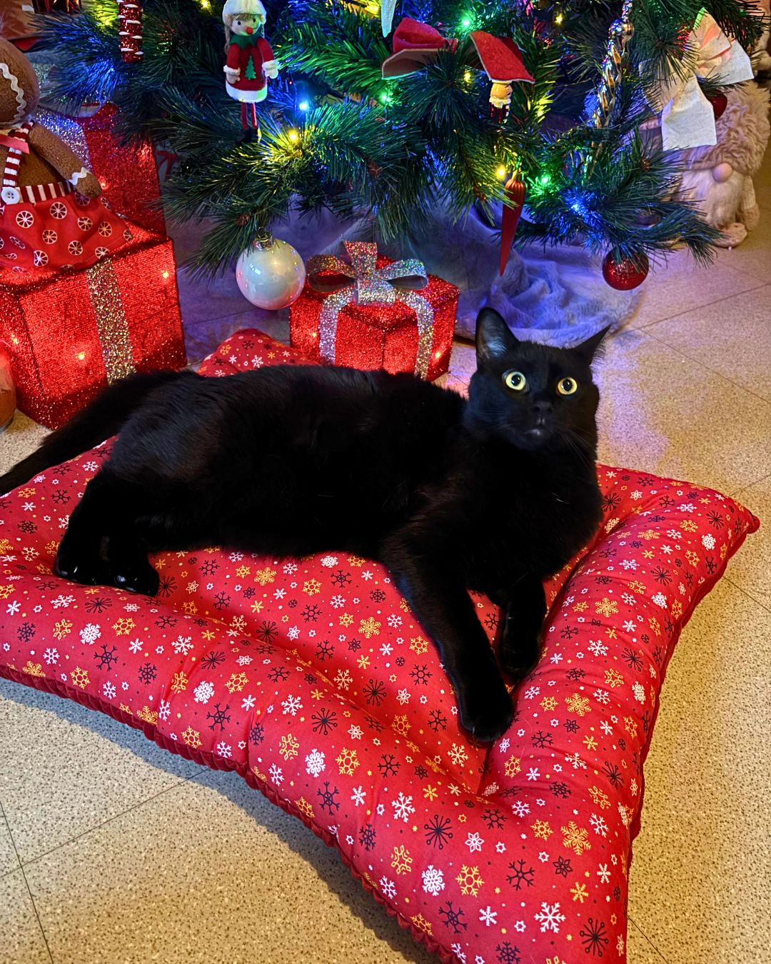 Le Cocoon de Noël Réversible