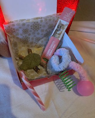 Mini Box de Noël – Spéciale Chat