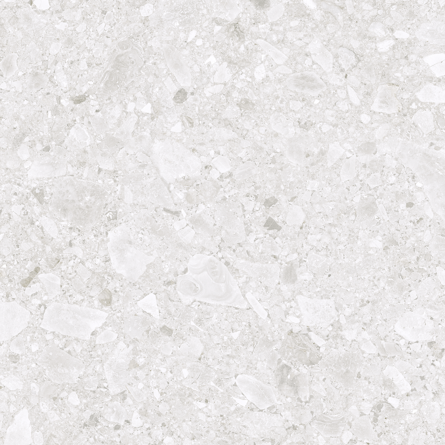 Ceppo White 60x60