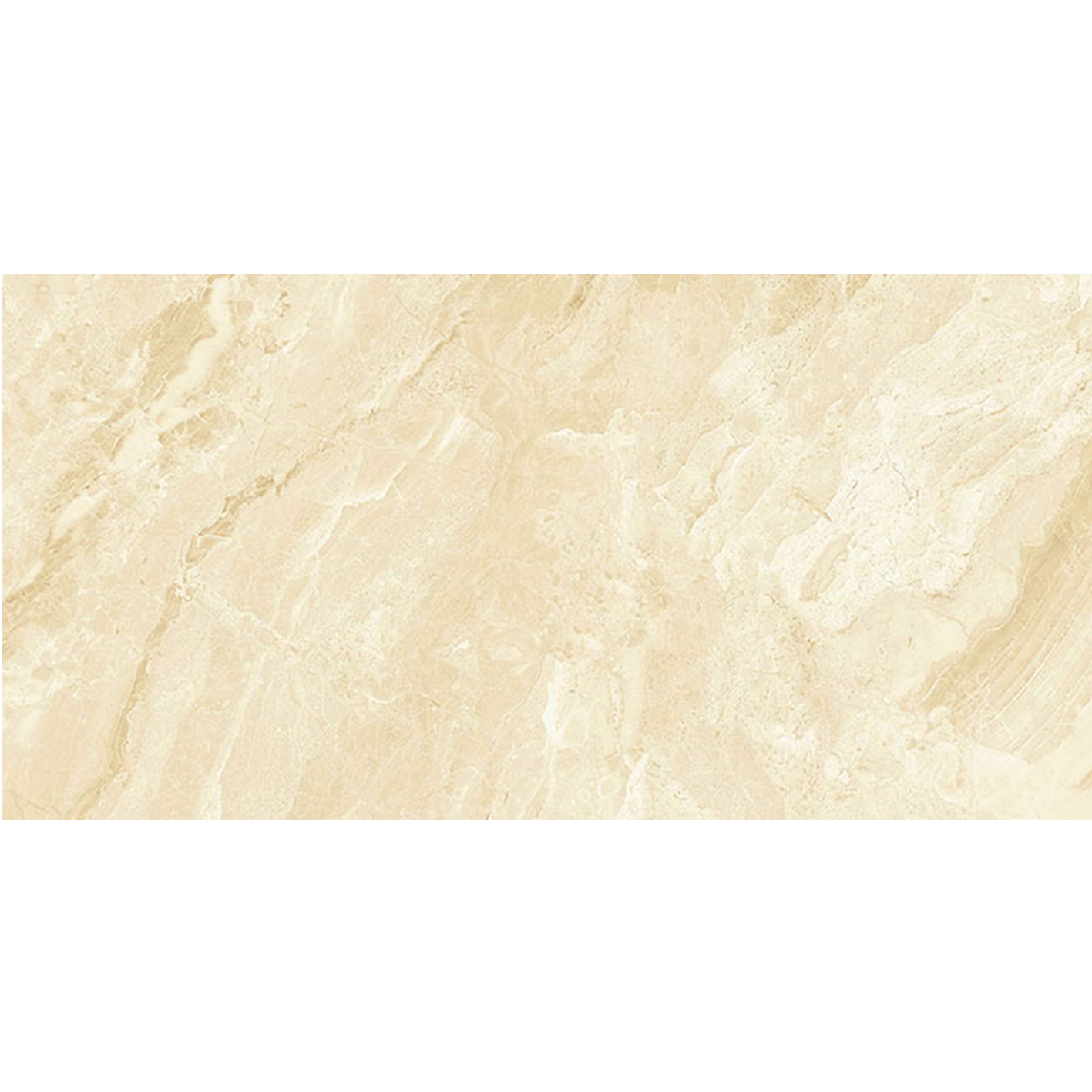 Hampton Arena 60x120