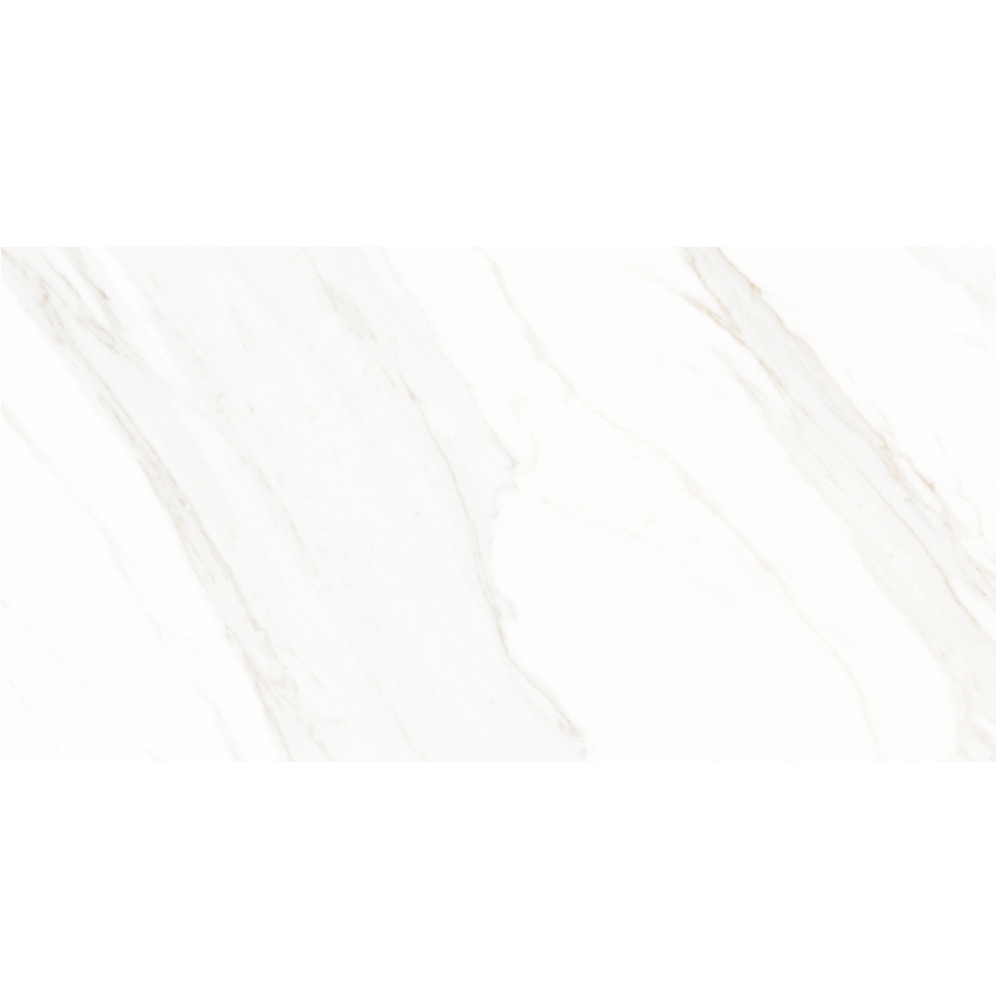 White Calacatta 31x60