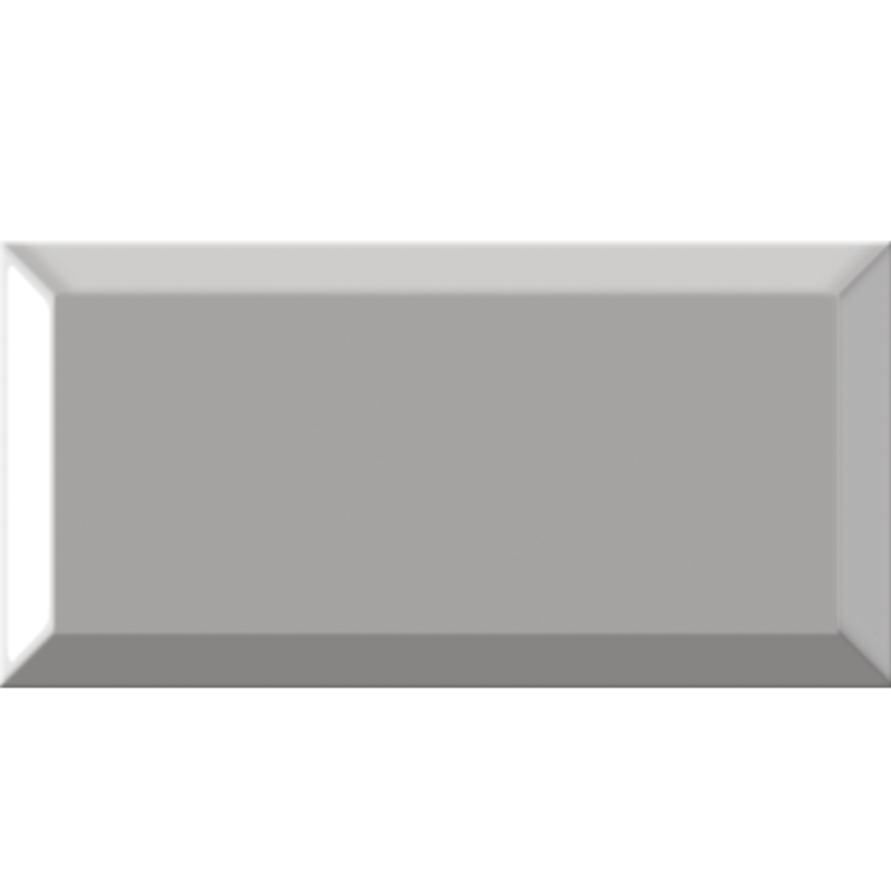 Metro Gris 10x20