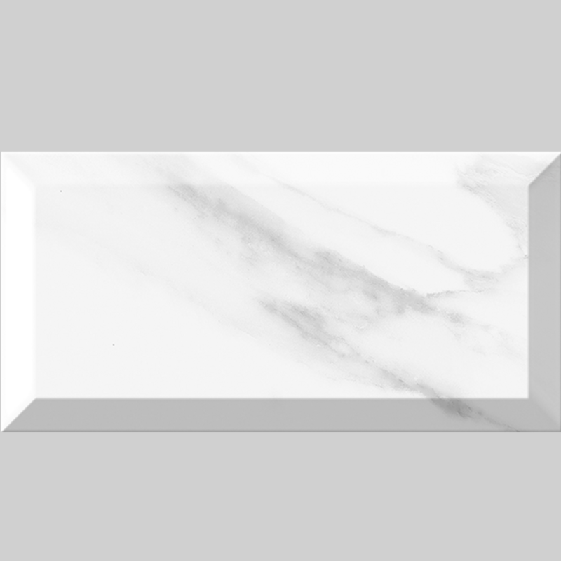 Metro Carrara 10x20