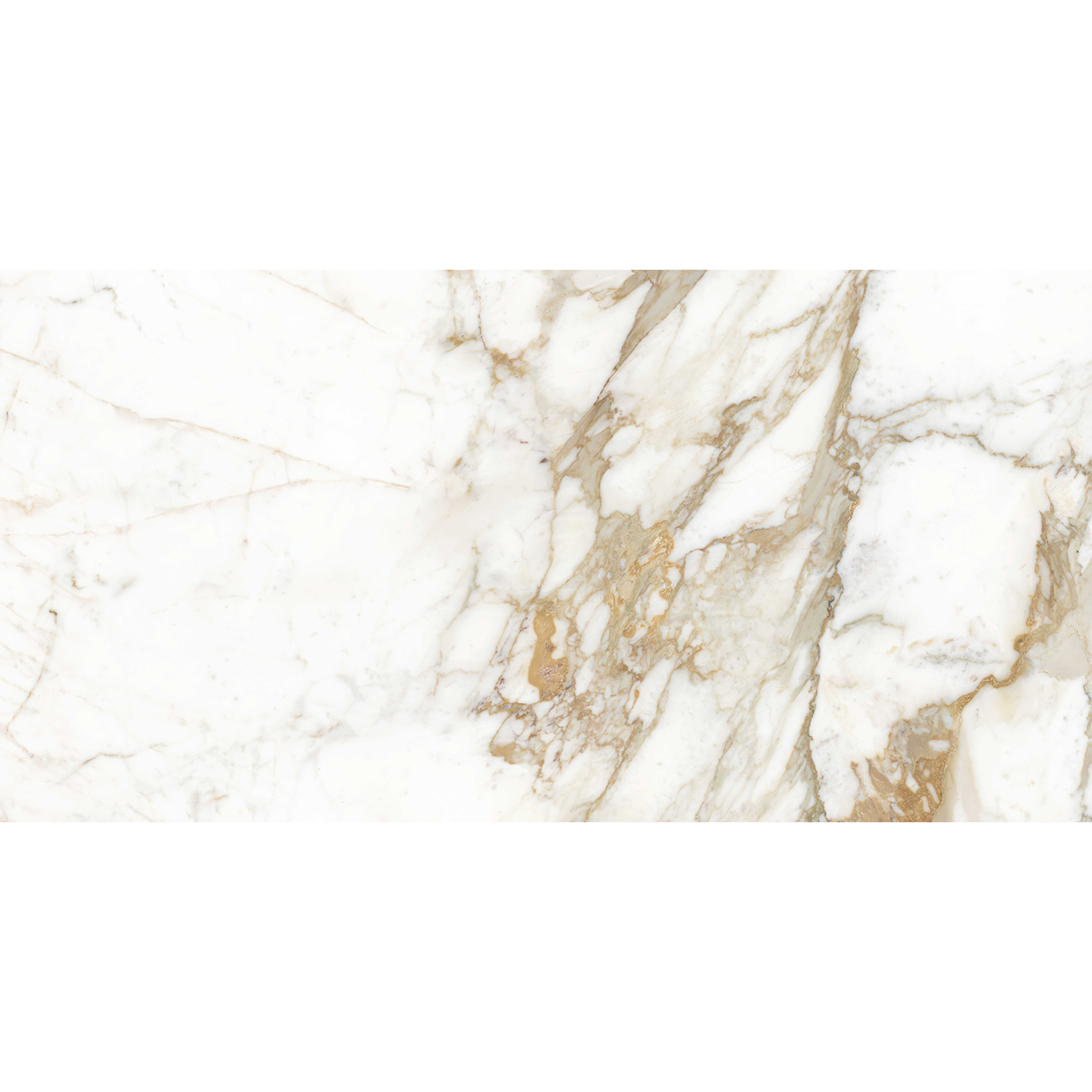 Calacatta Gold Matt 60x120