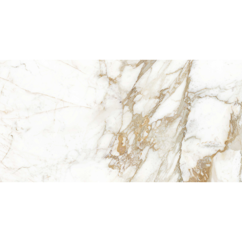 Calacatta Gold Pulido 60x120
