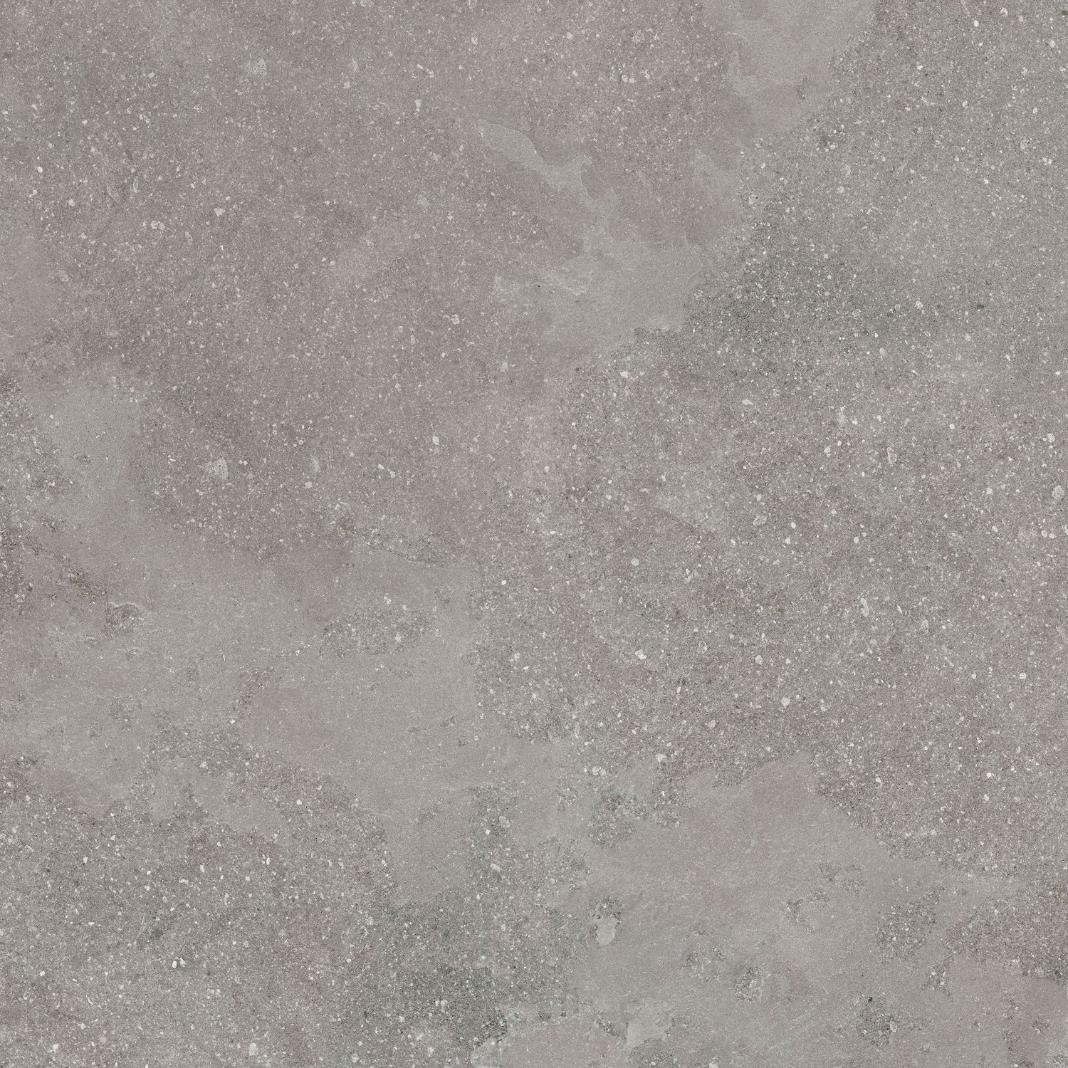 Blueslate Nature 100x100