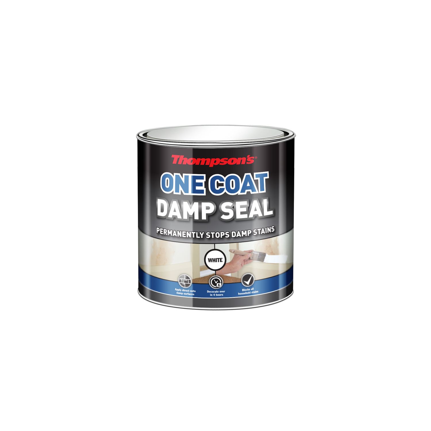 THOMPSONS ONE COAT DAMP SEAL 250ML