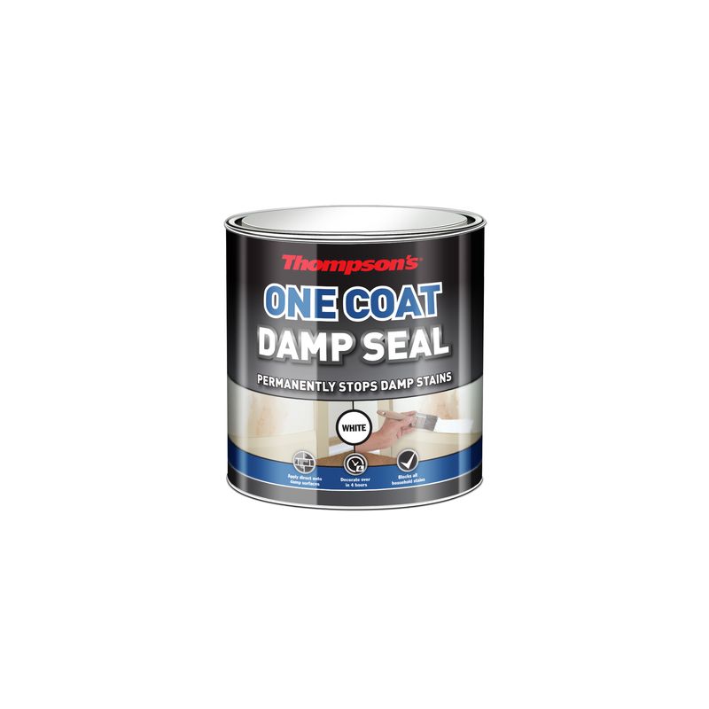 THOMPSONS ONE COAT DAMP SEAL 250ML