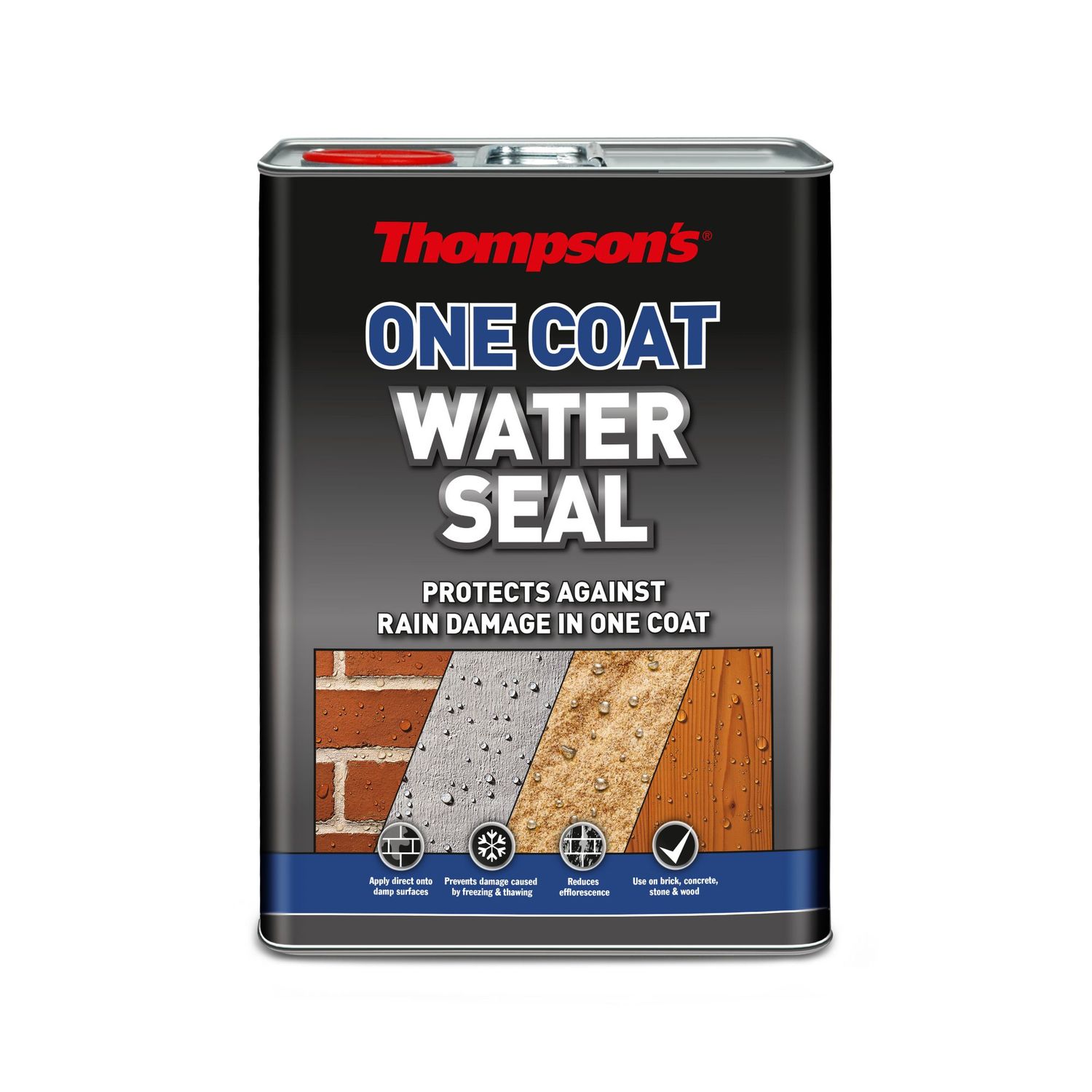 THOMS 1 COAT WATERSEAL ULTRA 5LT(X2)