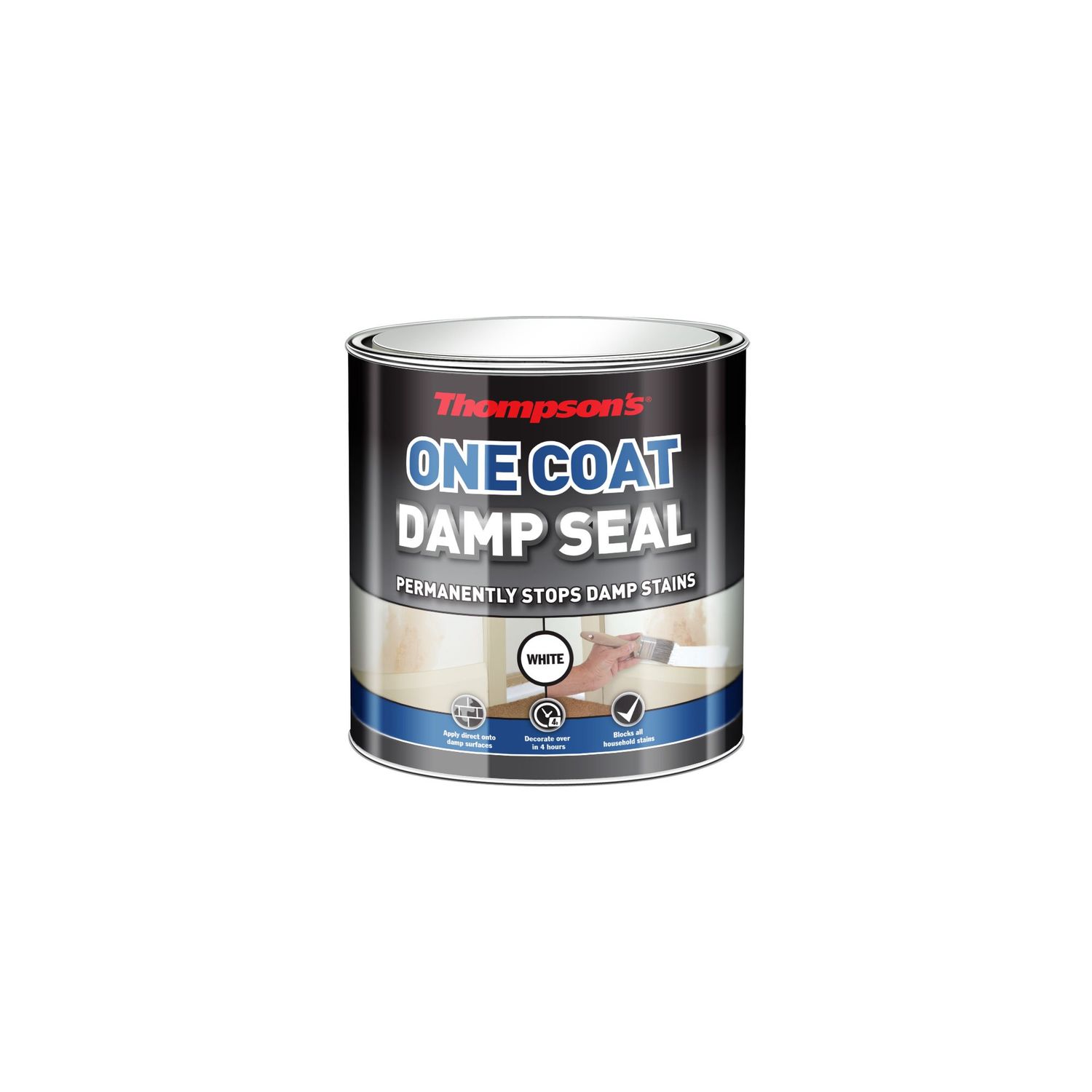 THOMPSONS ONE COAT DAMP SEAL 250ML