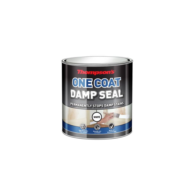 THOMPSONS ONE COAT DAMP SEAL 250ML