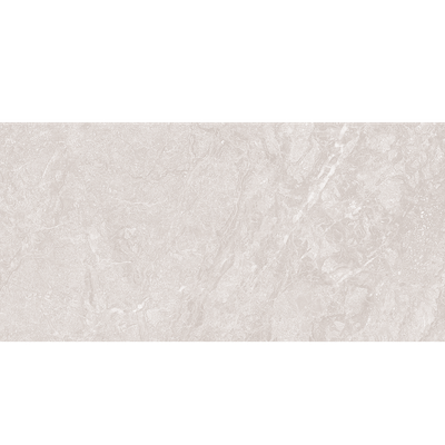 Titanium Silver 60x120