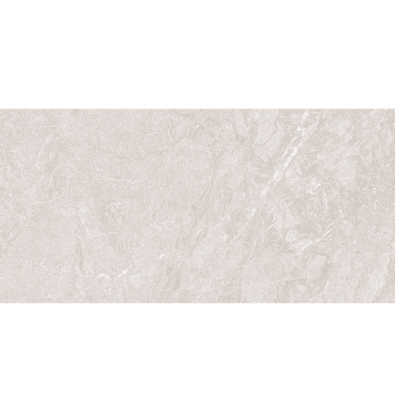 Titanium Silver 60x120