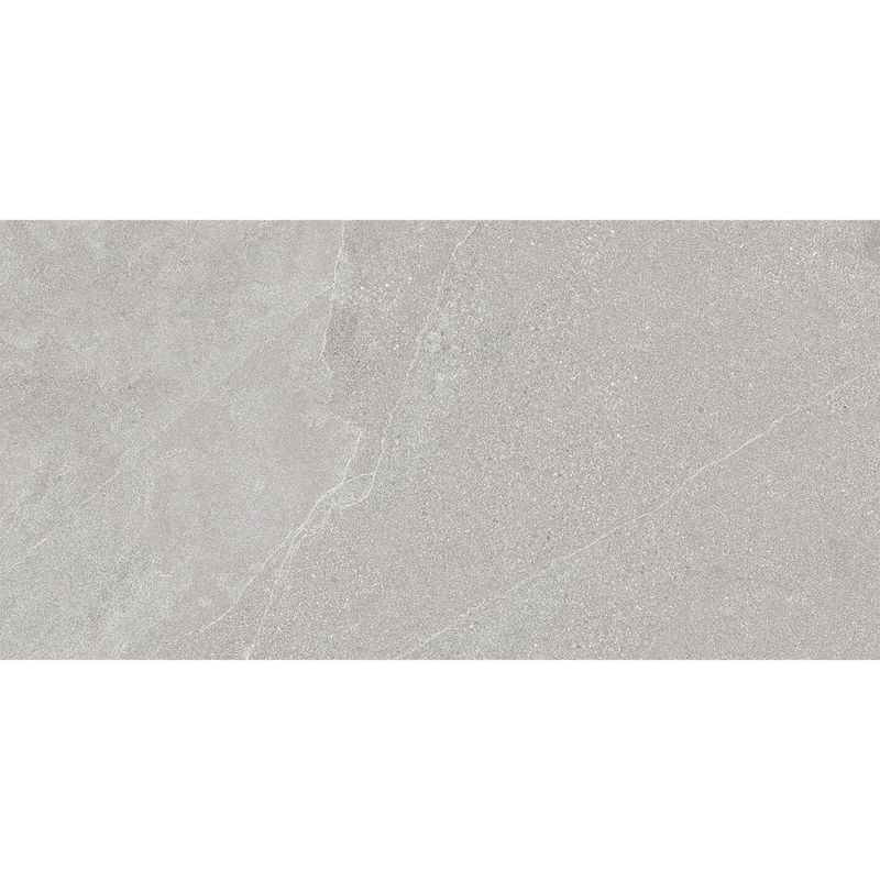 Zeta Grey 60x120