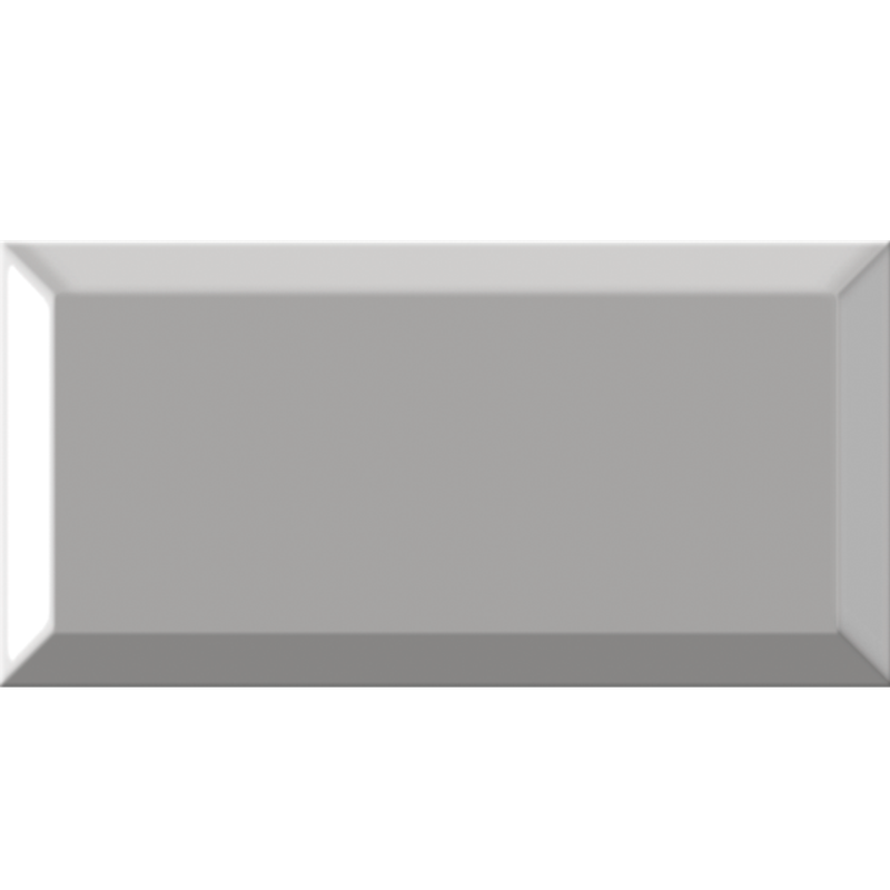 Metro Gris 10x20