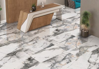 Bronze Vein Marble Gloss 60x120