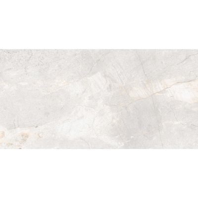 Mainstone Silver Matt 60x120