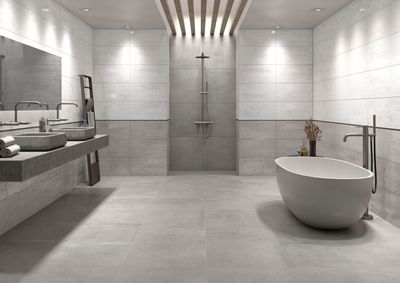 Maison Silver 60x120