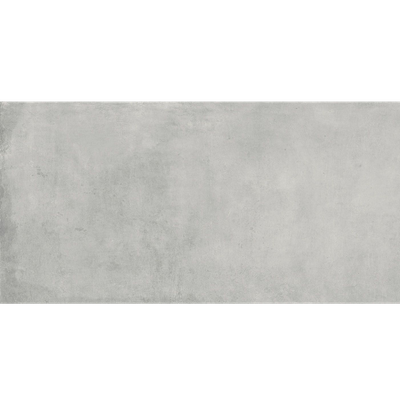 Maison Silver 60x120