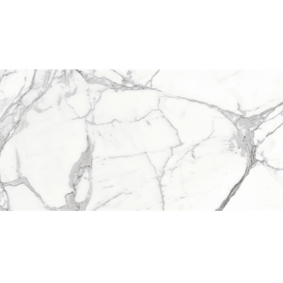 Moncalieri Brillo 60x120