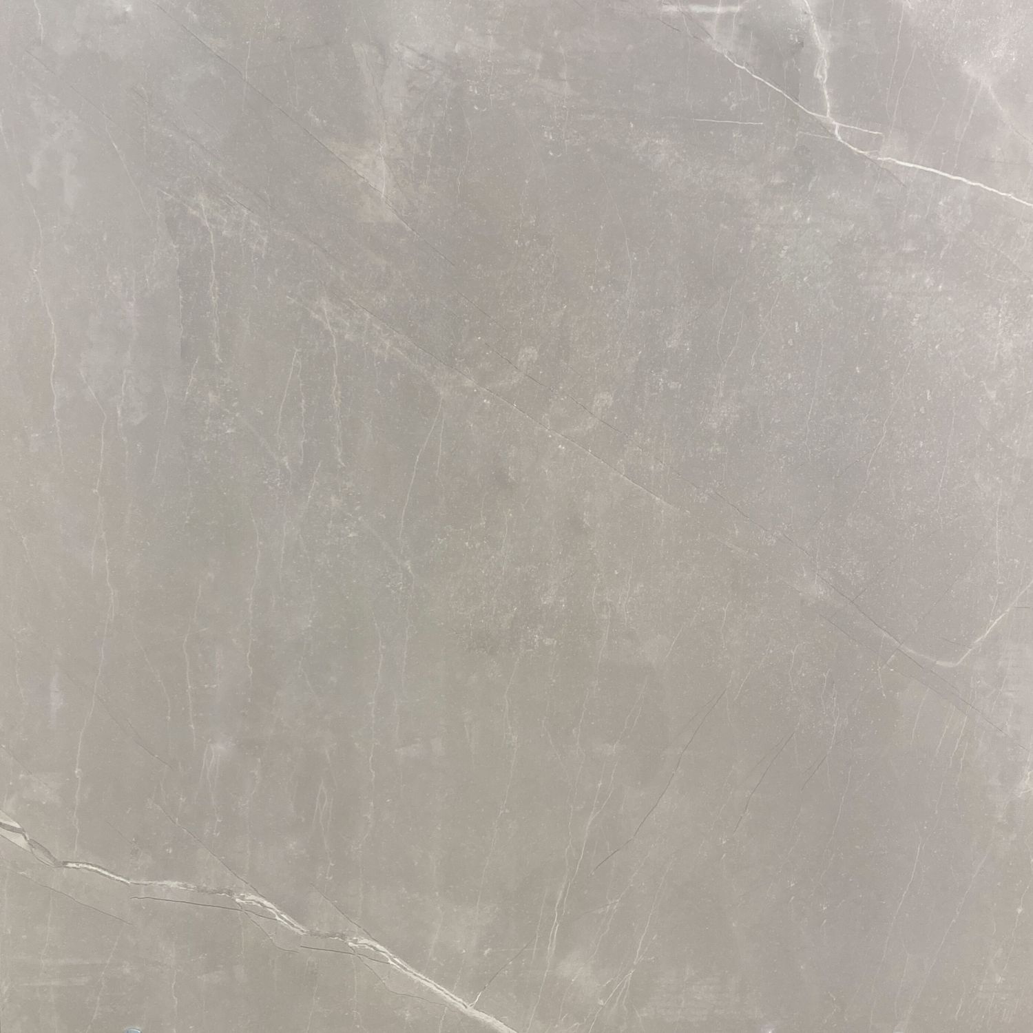 Dune Blanco 80x80