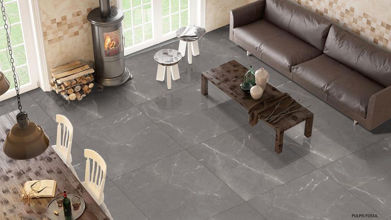 Pulpis Fossil  80x80