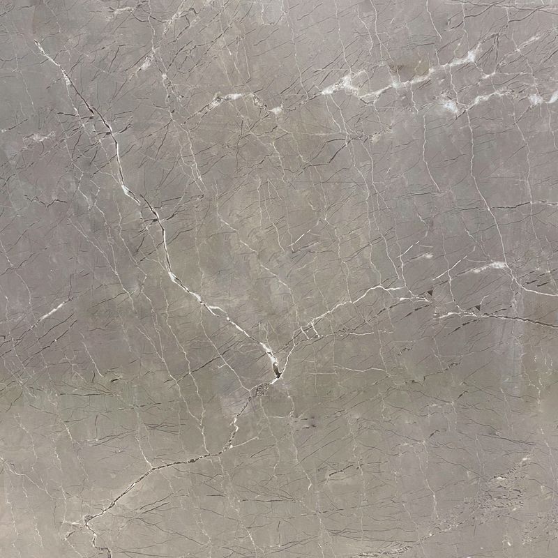 Pulpis Fossil  80x80