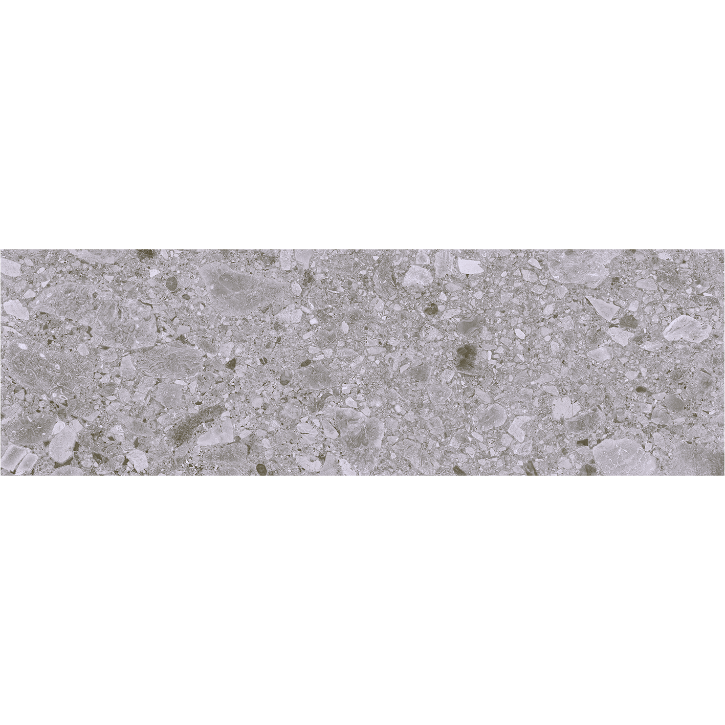 Ceppo Grey 25x80