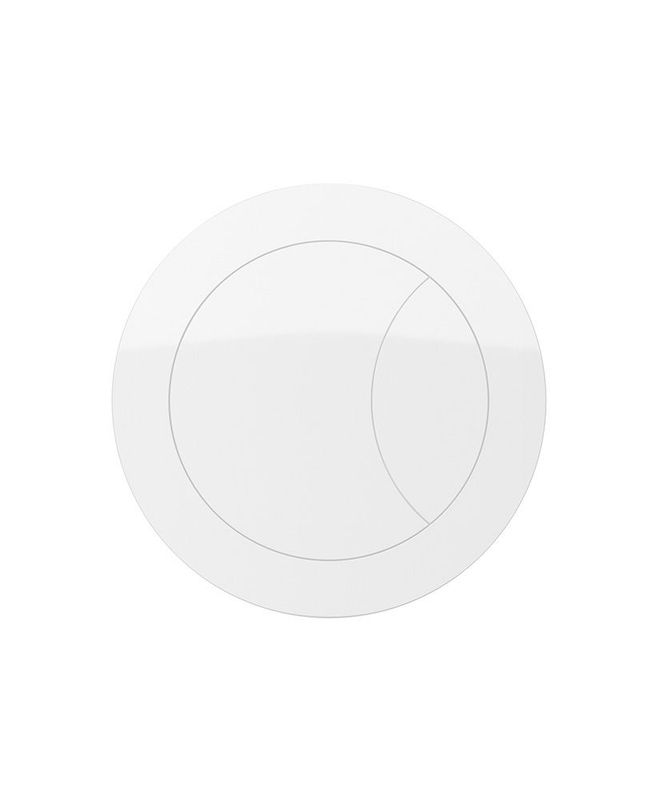 DUAL Flush Button