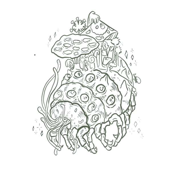 Rouhi Insects & Gems