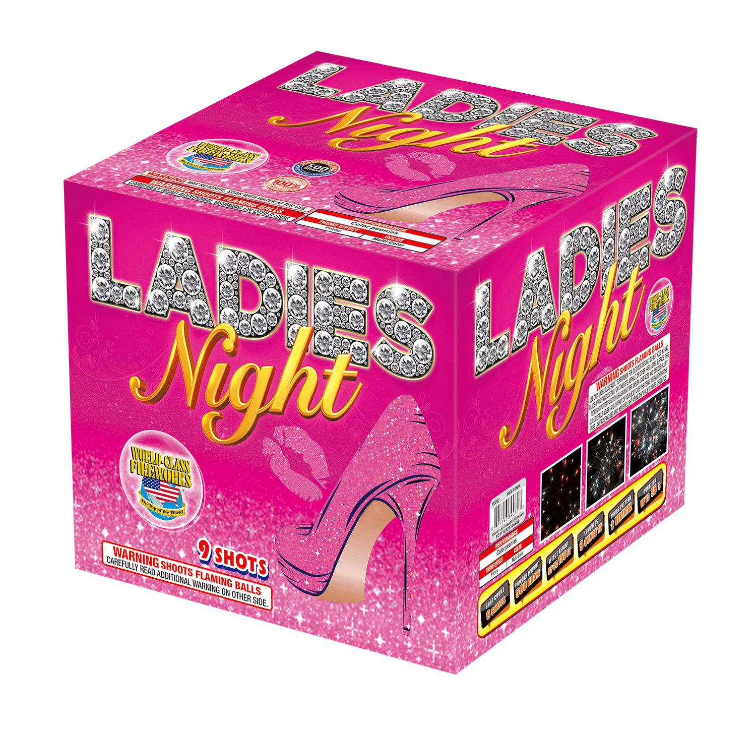 Ladies Night