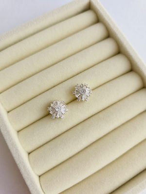 Aretes copito de nieve