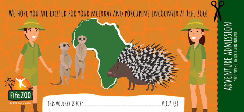 Fife Zoo Meerkat &amp; Porcupine Encounter Voucher