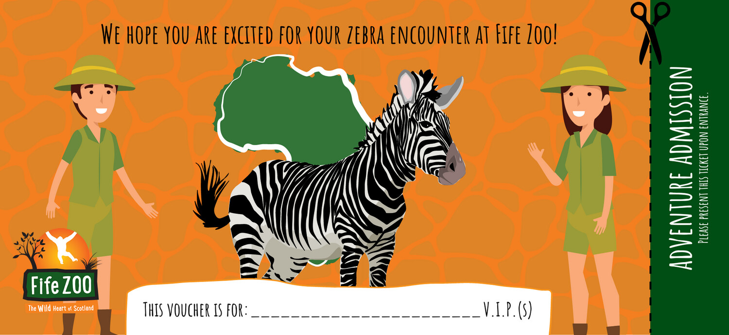Fife Zoo Zebra Encounter Voucher