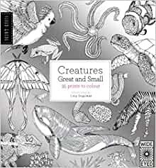 Field Guide Creatures Colouring 7+
