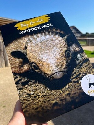 Baby Armadillo Adoption