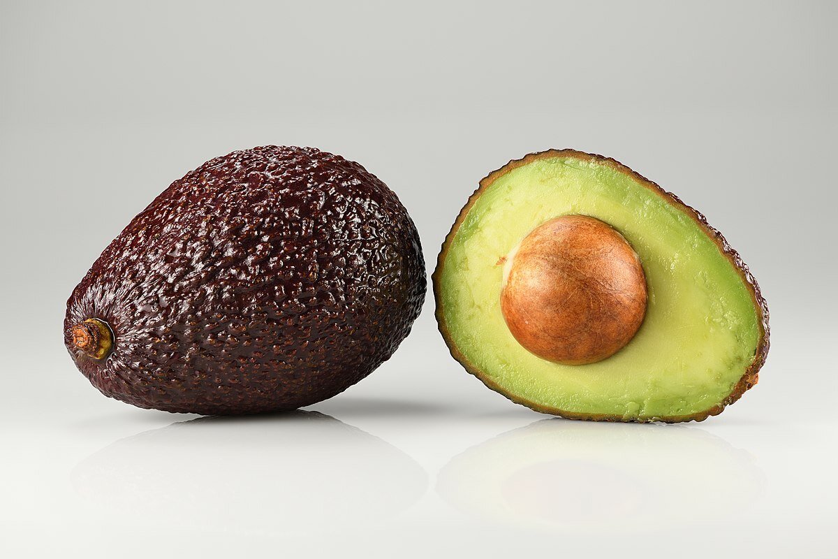 Aguacate hans