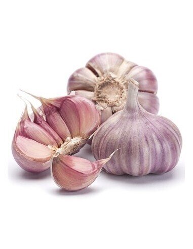 Ajo nacional