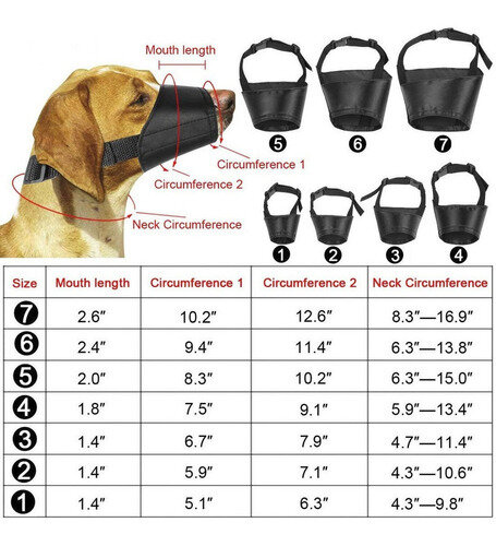 Bozal seg. lona-bull terrier com pq