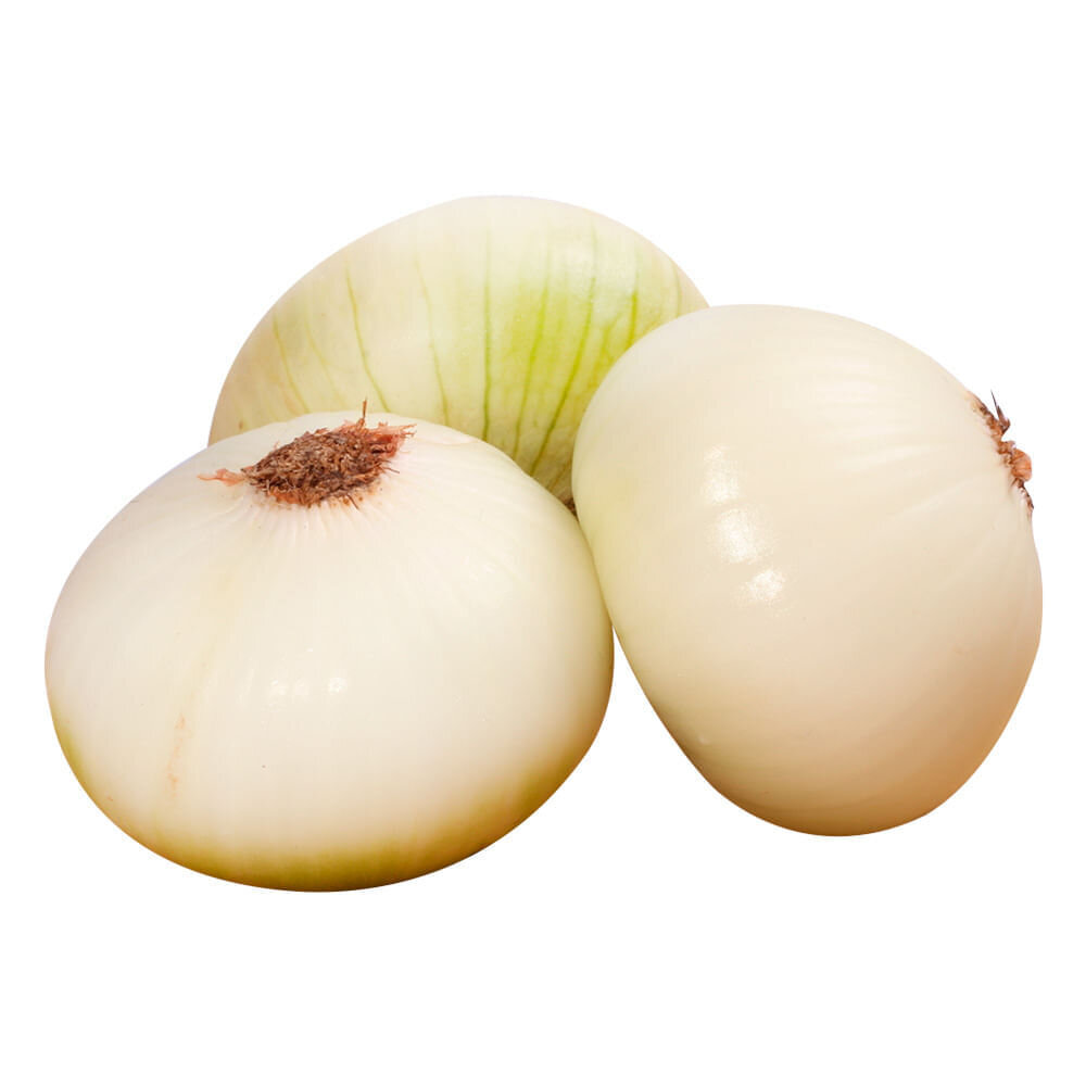 Cebolla cabezona blanca