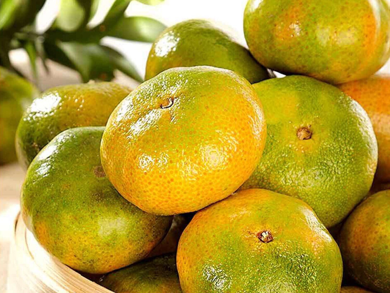 Mandarina arrayana