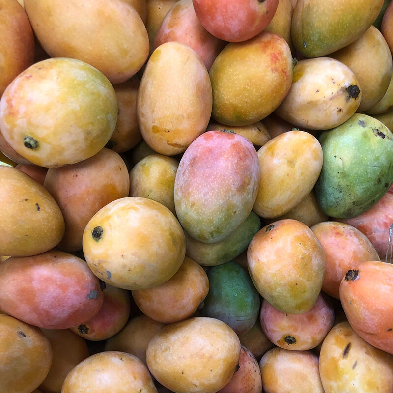 Mango de azucar