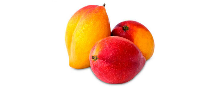 Mango yulima