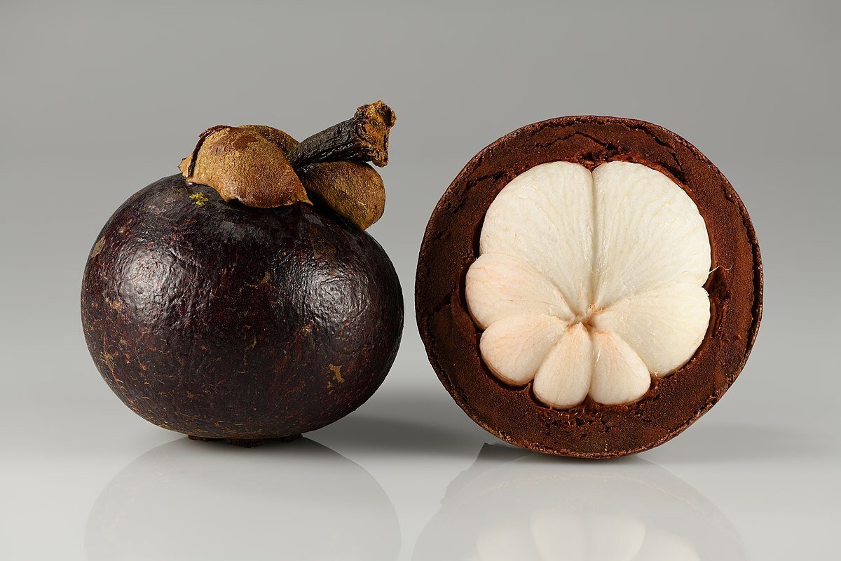 Mangostino