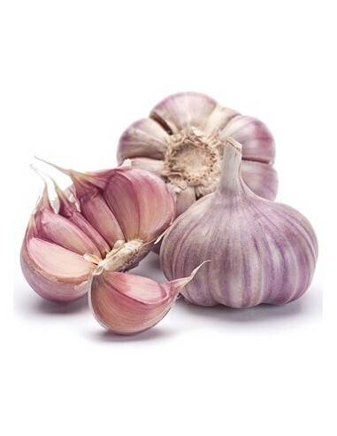 Ajo nacional