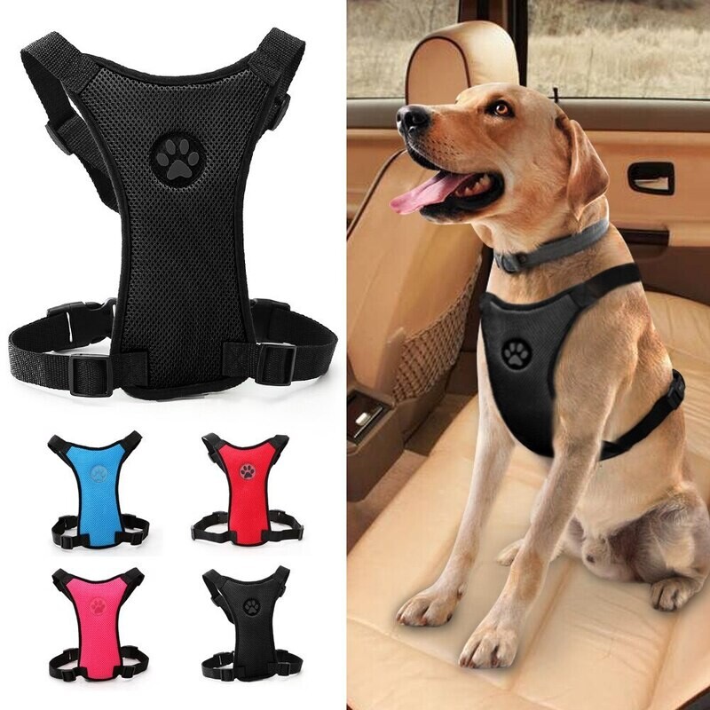 Arnes malla ajustable xs-s-m-l