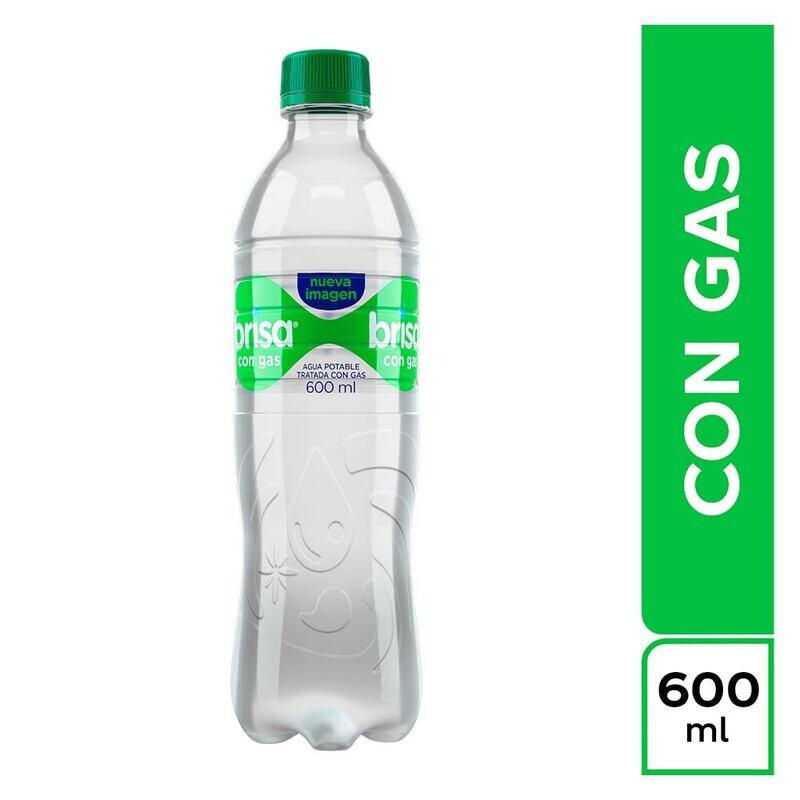 Brisa pet 600 ml x 24 unds -