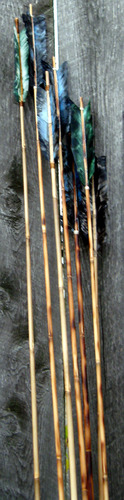 Cane Darts